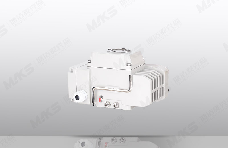 精小型電動(dòng)執(zhí)行器