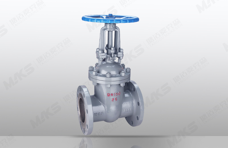 國標(biāo)楔式閘閥