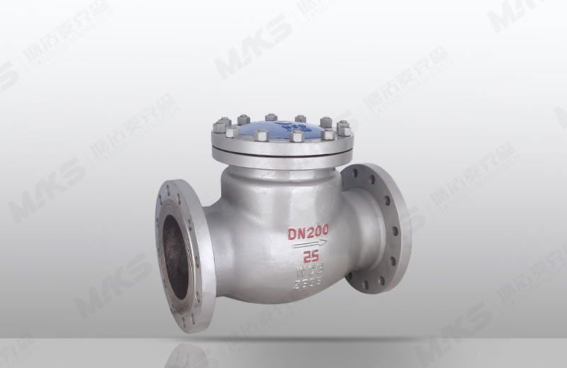 鑄鋼旋啟式止回閥