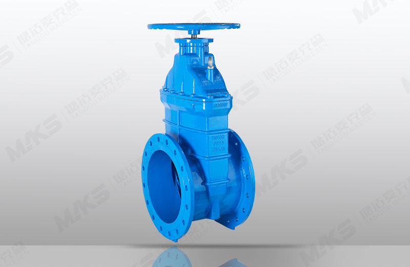 大口徑彈性座封閘閥